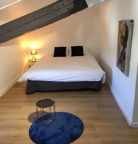 Hotel O Petit Neuville-sur-Saône